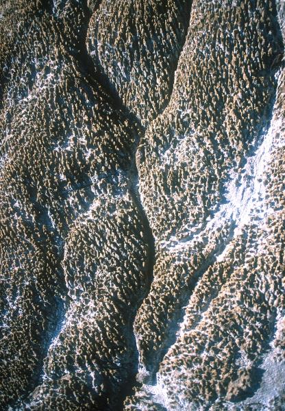 027_9.jpg